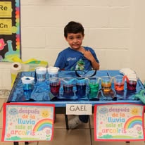 Proyecto de ciencias presentado por un alumno